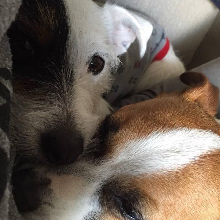 Db42be10 112f 4899 9993 d53efe85fe77 1711411095811