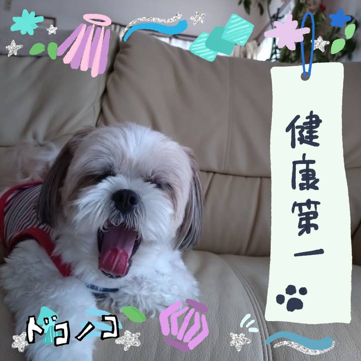 Db42c6df 0681 473e acfc 0b58a9287f65 1720834172069