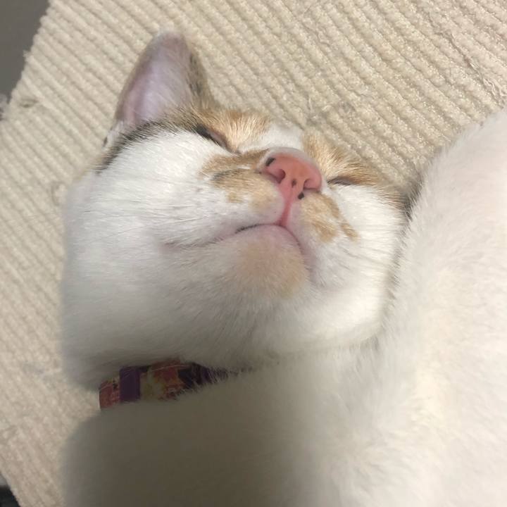 Db42cb4d 6133 4fad afbc 049fcb8437fe 1601900685088