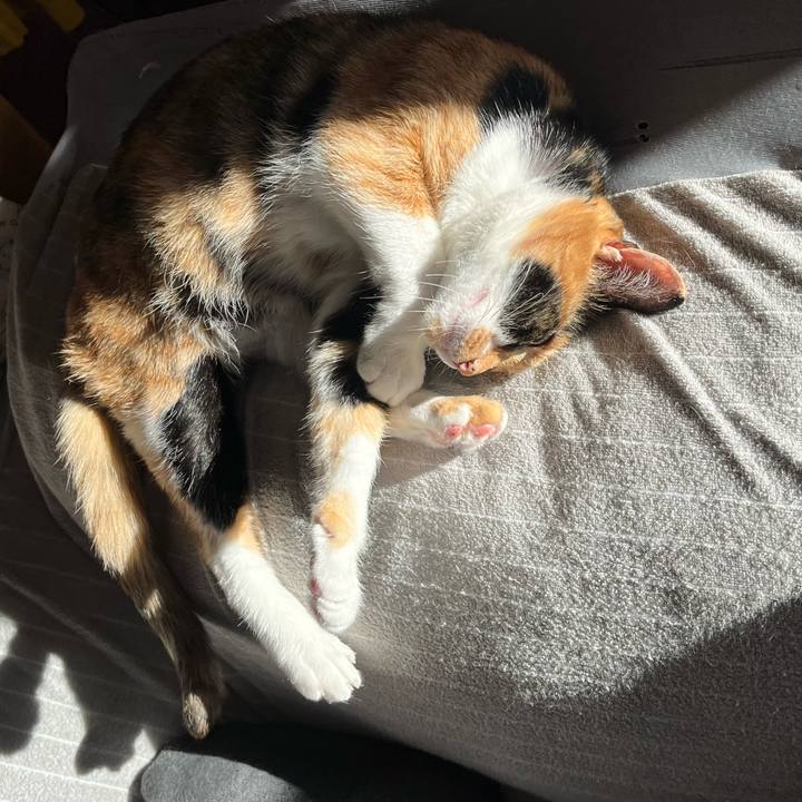 Db4304f5 5158 4a85 86f6 0566c65557f3 1674123093759