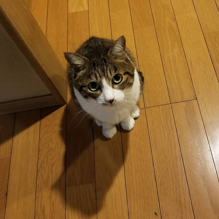 Db430ab2 cb7e 48f5 8425 3a8a1314a999 1540659605421