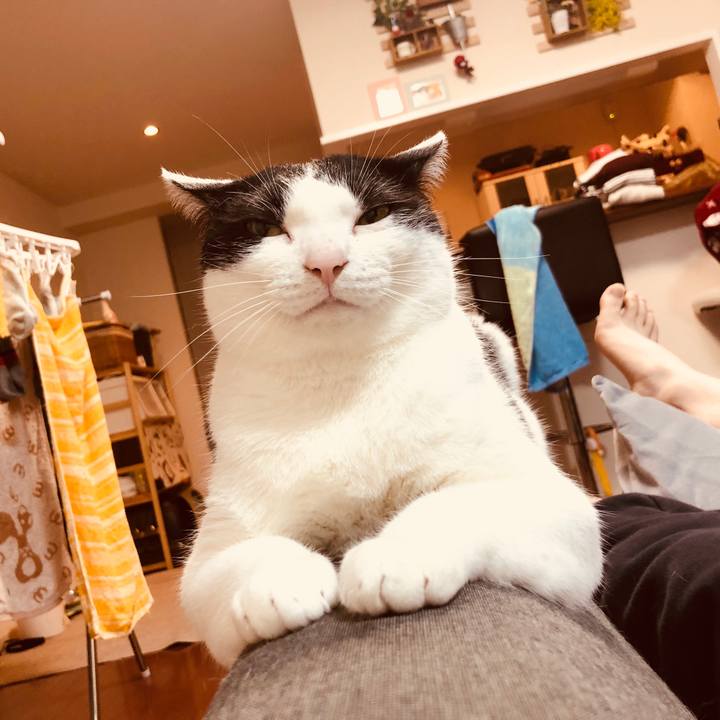 Db43154d e355 4ee3 bd91 f4a04746ebab 1526451545675