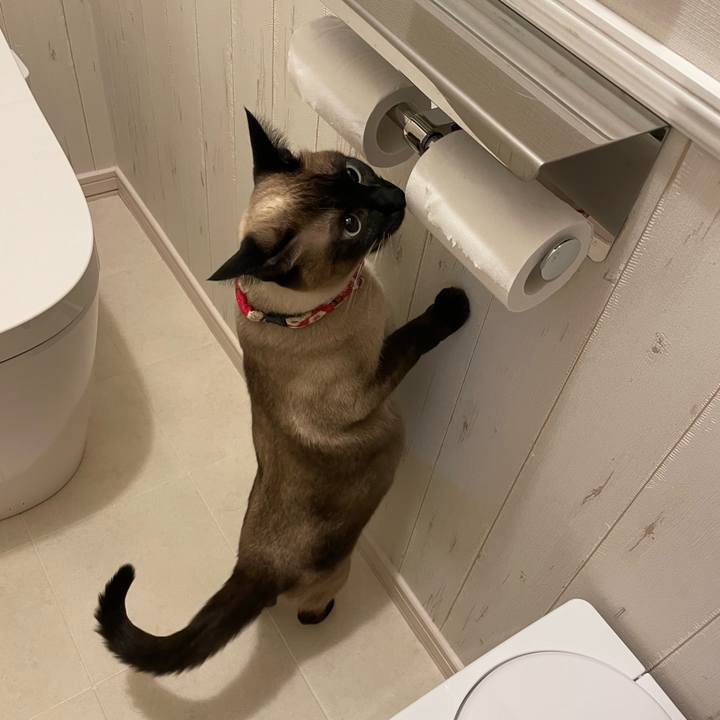 Db4315dc 4fcc 465d acda 790af297697b 1741209055471