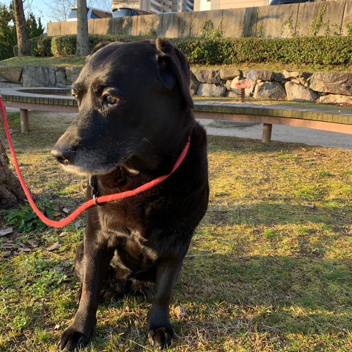 Db43270b c078 401b 9d78 c1ff2c61944f 1552088588626