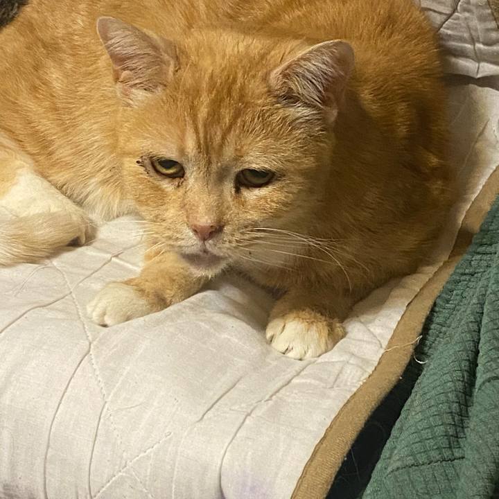 Db432f55 fb43 4eec bbe0 d17ab13ba5a2 1617794377712