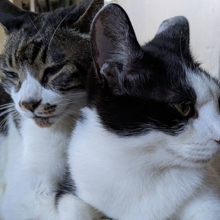 Db437f0c a63e 4890 aacb f1a9a99c95ab 1750776212262