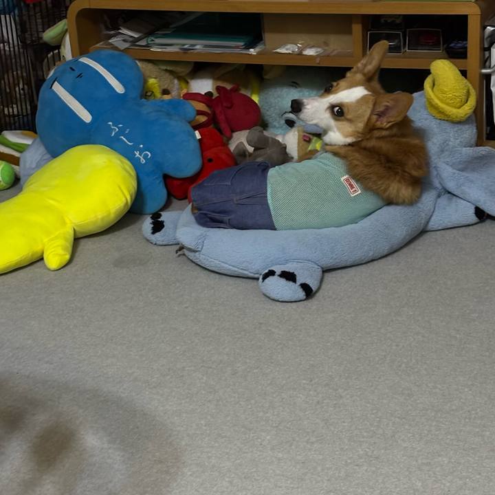 Db438981 e280 42b4 b1e8 383e0b62505a 1758584580474