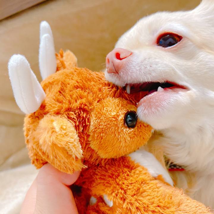 Db4393bc 25a0 4af3 ab8f 871e45885578 1644237800933