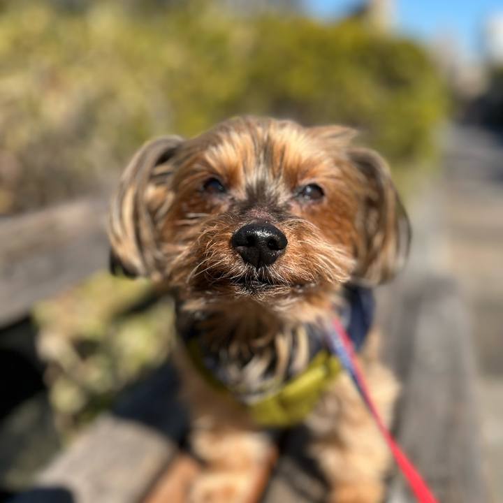 Db43a063 551b 496e 8ca8 fcc71343a58b 1646023560616