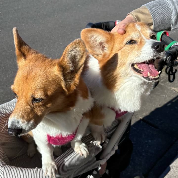 Db43b696 c937 4023 bdb9 a0a54f156bed 1737091096763