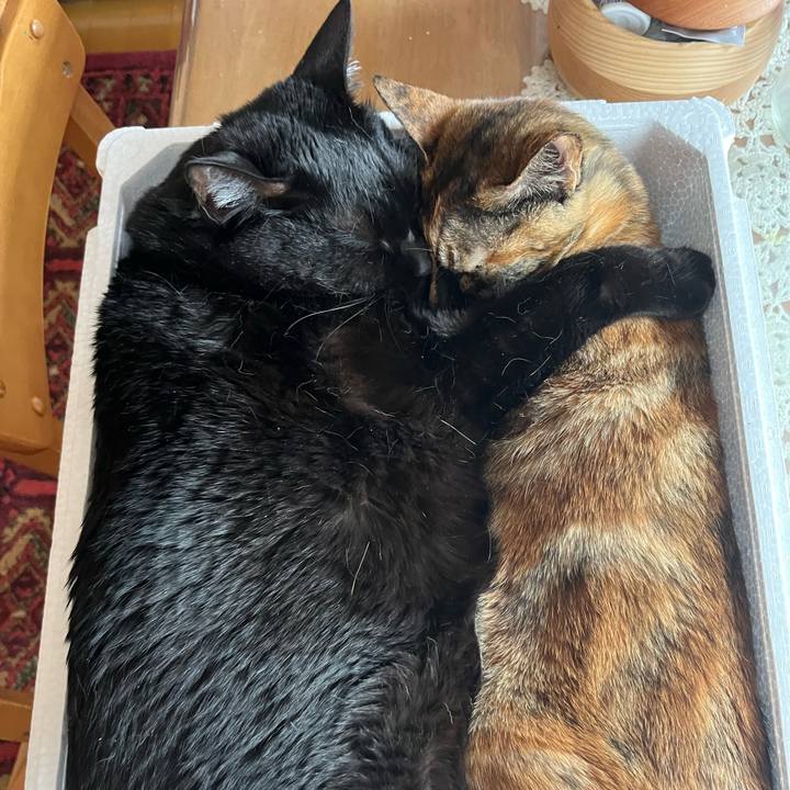 Db43c382 bb7e 4ed8 a607 f84774a3ff6f 1774763712192