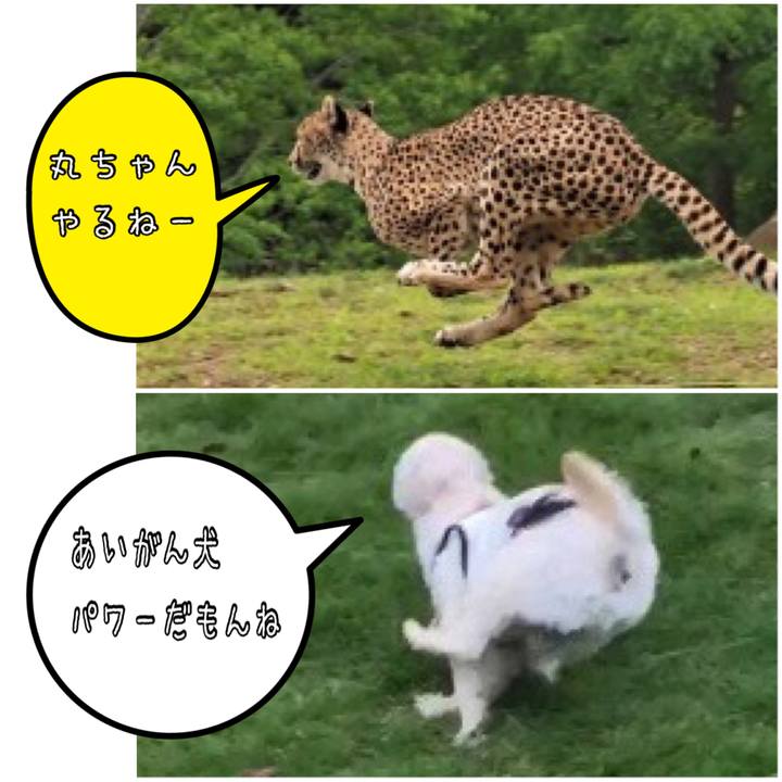 Db43d089 4295 4b7e 9f2d 2edf3eef69c9 1533554259006