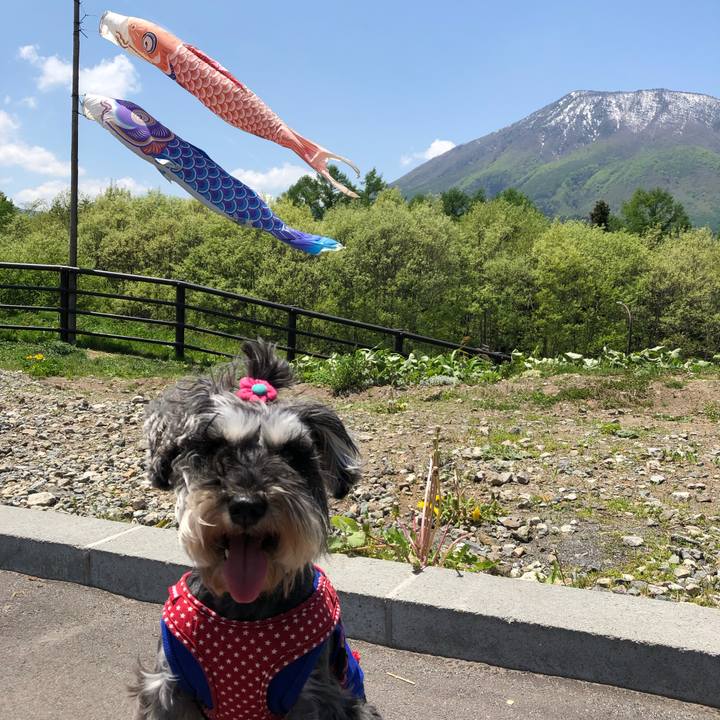 Db43e524 b6d6 4c16 98e5 62a258012215 1558272037876