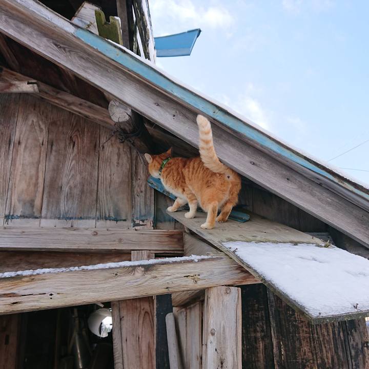 Db44009d f003 4093 a743 ac39cde444ca 1582500919625