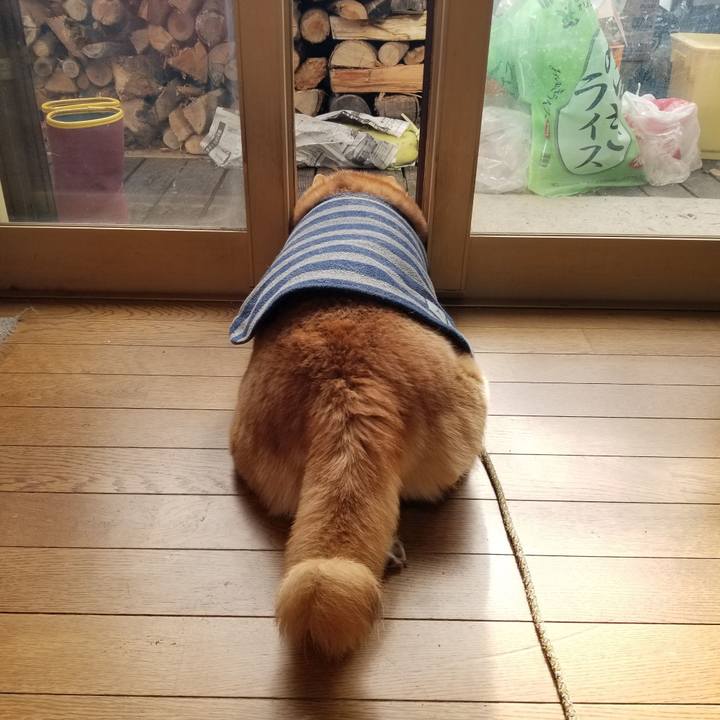 Db441dab 7335 4017 8d55 5ed9ecdd143c 1671075499930