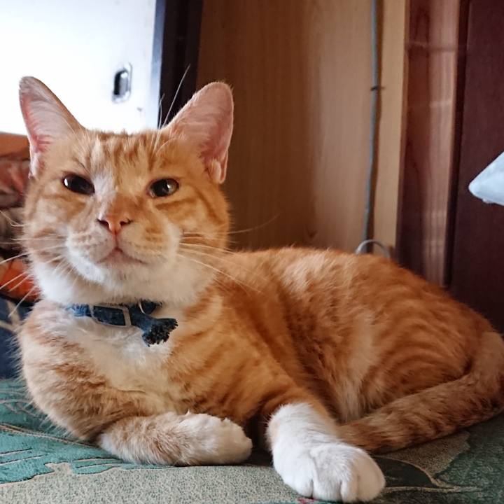 Db442c4b d366 415b afaa c6fb057cba42 1567371840627