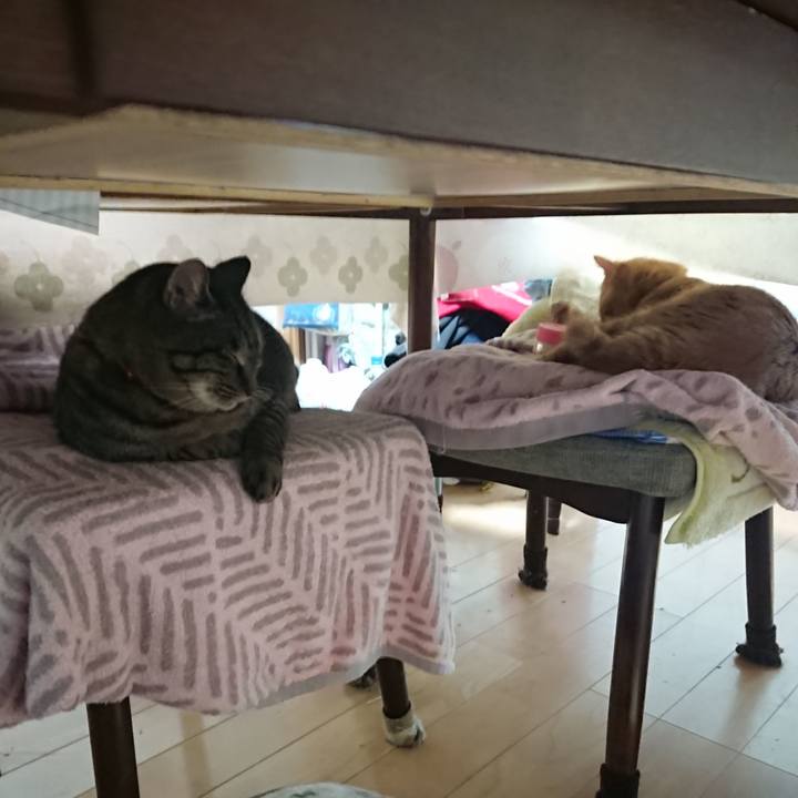 Db4451a9 7059 48aa 88a1 1151c790a0b5 1641502825268