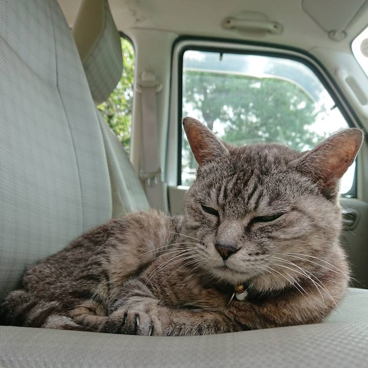 Db4470ed 40a3 4bd1 b97b 1af91efd73d4 1569207479494