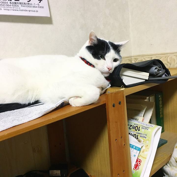 Db447fe0 1367 4b0c 907c e88fd02258cd 1511096919278