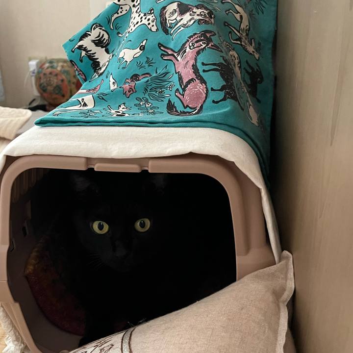 Db449177 e9b5 4fed b7ec bc61f2e8e6fb 1725923668475