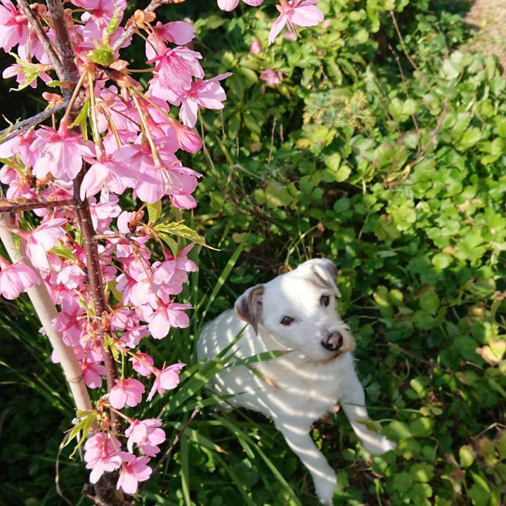 Db4494e7 f57c 43ad beab 419ee6f833e6 1582938921287