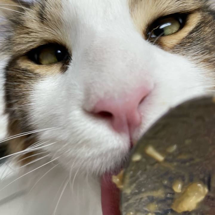 Db449917 d536 48c7 be13 b21320316a3e 1654681916811