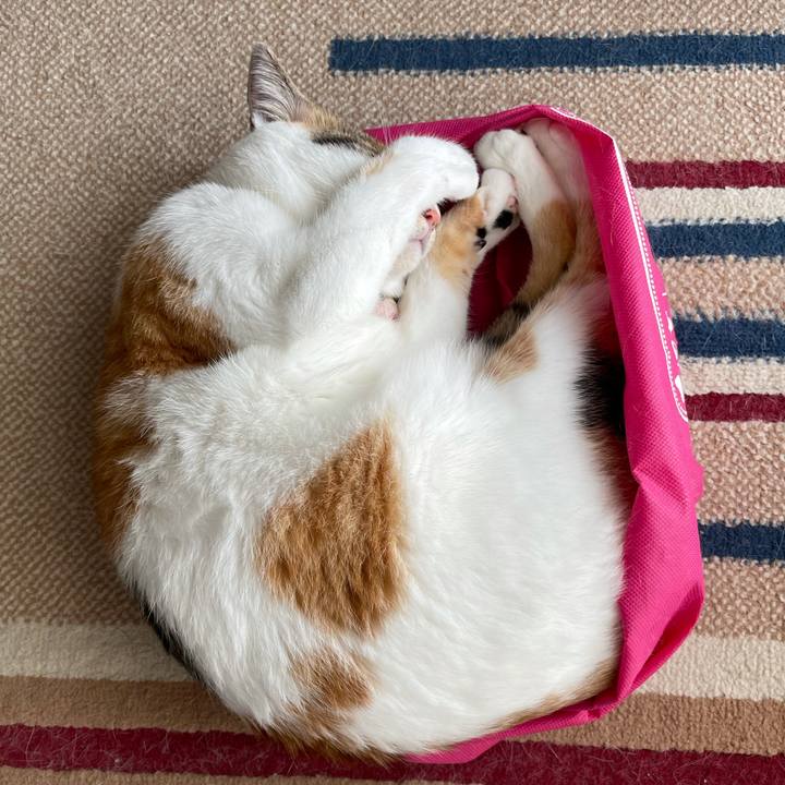 Db451a0b 8528 47ca 86c1 b2053448b6b3 1633234113829