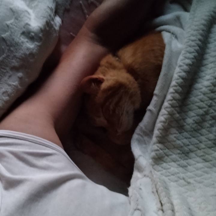 Db4536ce fdb9 4809 a226 43f2702b75cd 1750369102850