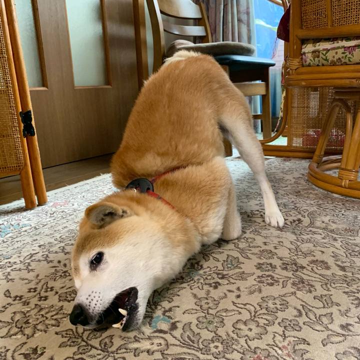 Db45974c 7a1e 4164 b274 fa666758b3ed 1682841758803