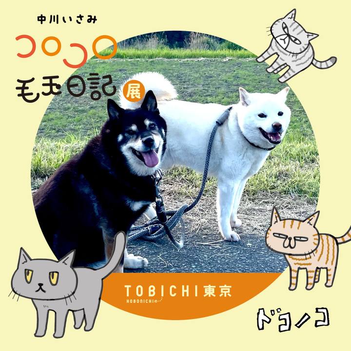 Db45ab5b a4f0 45b9 97ac d2fb02aae933 1740228020709