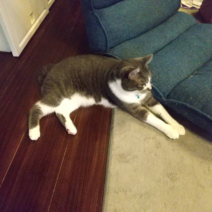 Db45ab88 3f4d 4af7 ab12 9d9aba34fd6f 1631570467409