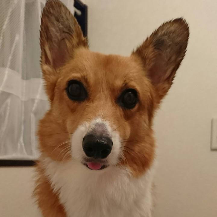 Db45bbb9 e869 4e1d 8598 946e2bff90c7 1539340903616