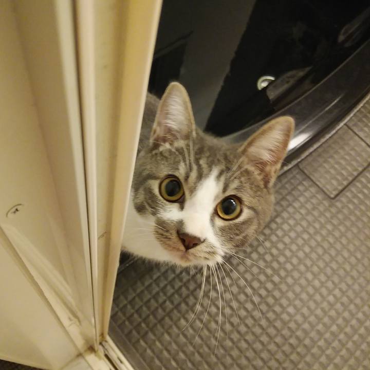 Db4619be 708a 4e80 9057 803fce667ab2 1573916144796