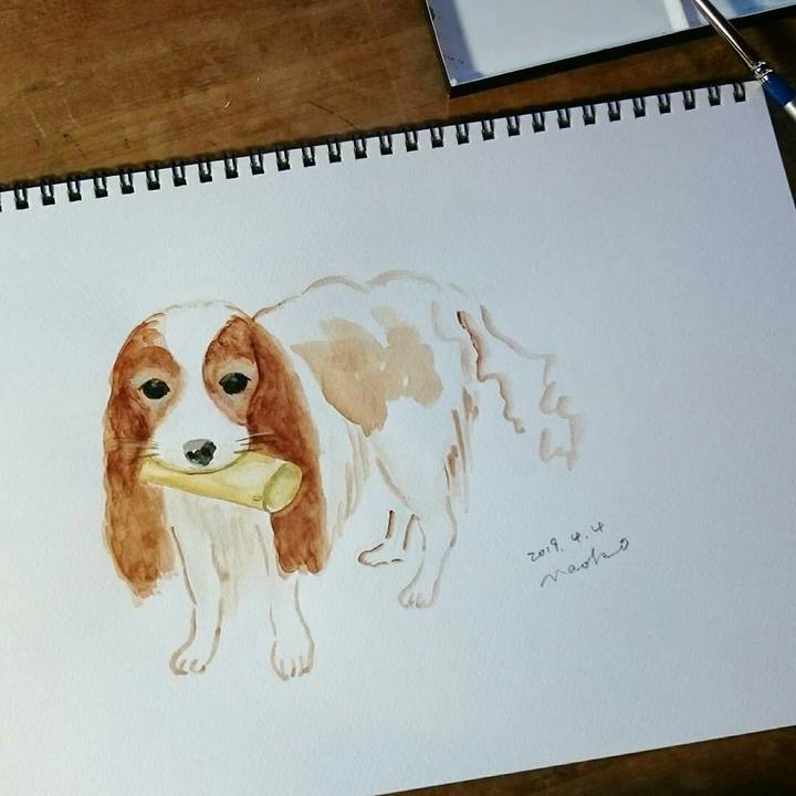 Db465f9f c01d 4e81 9f46 00d1729ddcbf 1554368978548