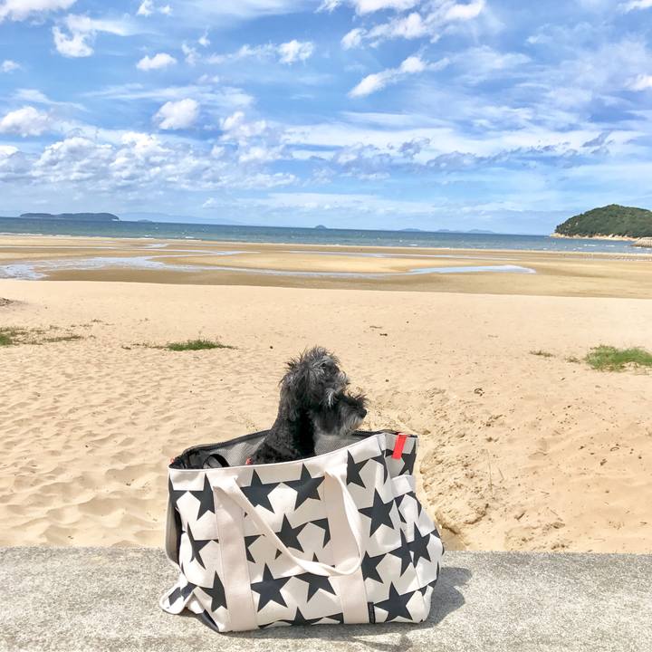 Db466b2f 3a51 4934 b342 2b9bee93e506 1540637047688