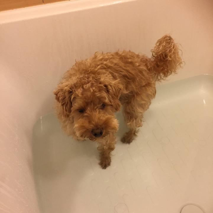 Db466d35 bad0 4ffb a075 55cd9dc465bc 1511472378655