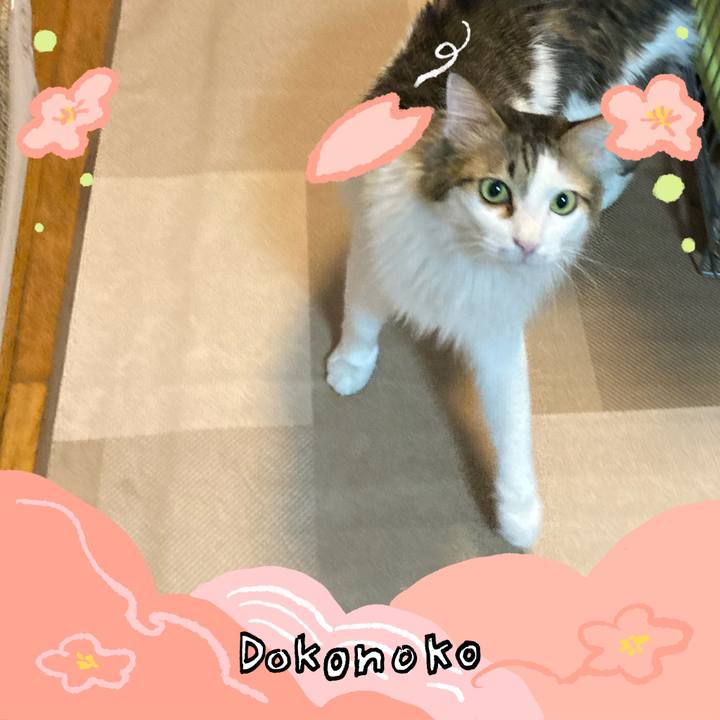 Db46749c ead1 45d8 97fa b1807c15372d 1775827338738