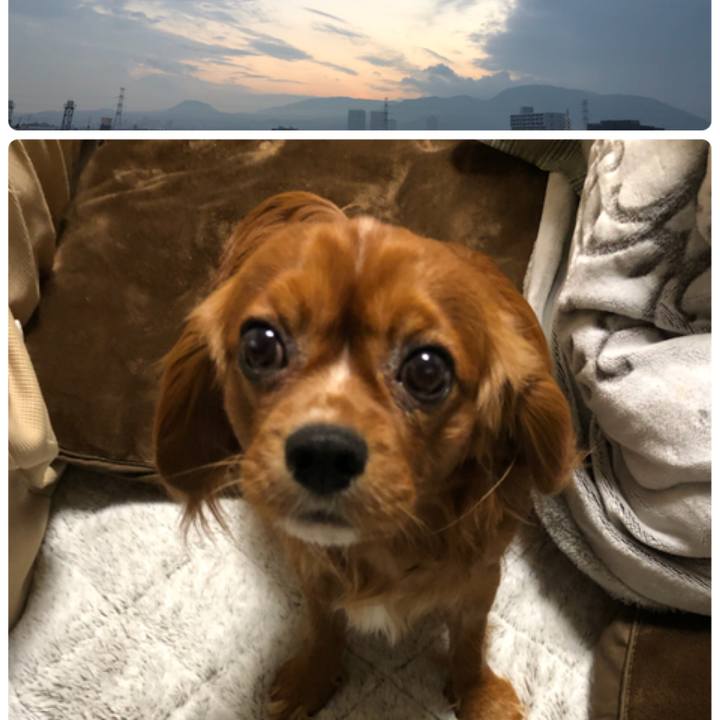 Db467d01 d1ab 4efa 8460 b5e014d62453 1549545031121