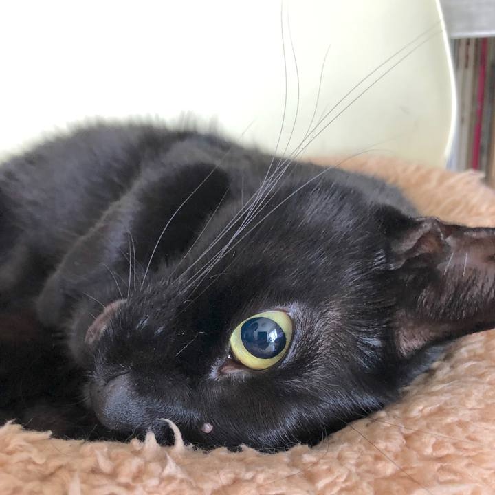 Db468e4b 2d39 4571 95aa 8708e1dcd09f 1564833637085