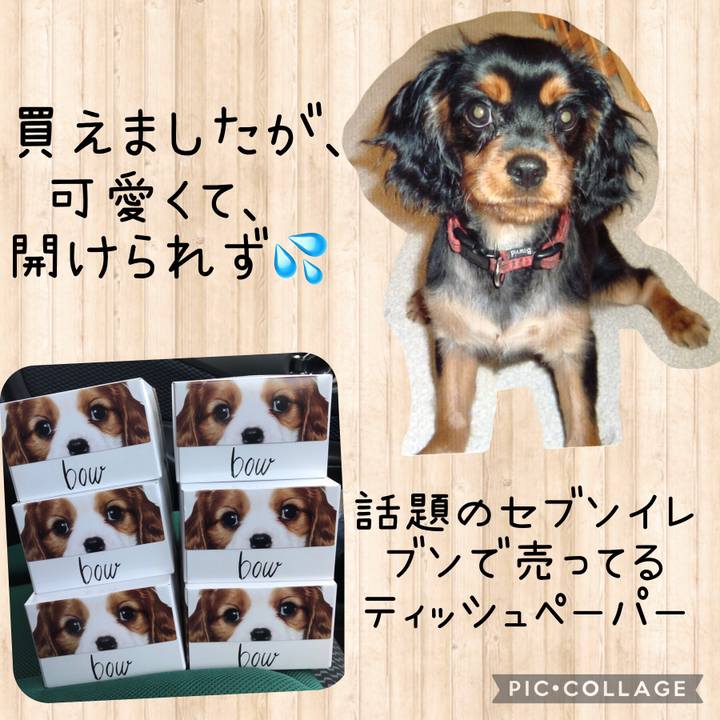 Db46a6da 17d7 4a9e b28d efc8581fd79b 1622183860556