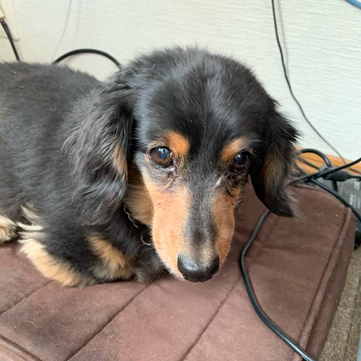 Db46b2ce 4ff0 4845 ad0f 62c0a3e9b201 1588197926646