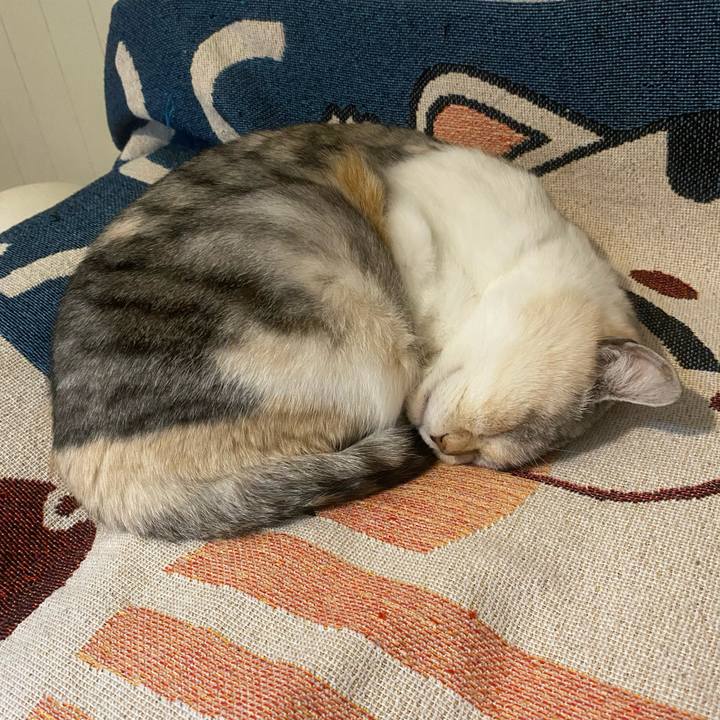 Db46e138 c11d 4c65 9c02 676253cf3140 1735739096436