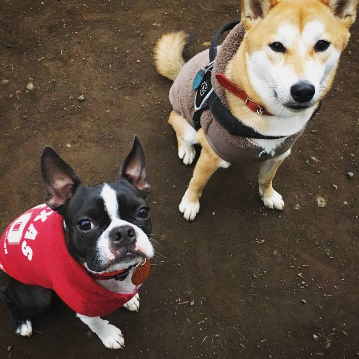 Db471f56 d086 46d8 b9e8 2180ce24c97c 1512029831978