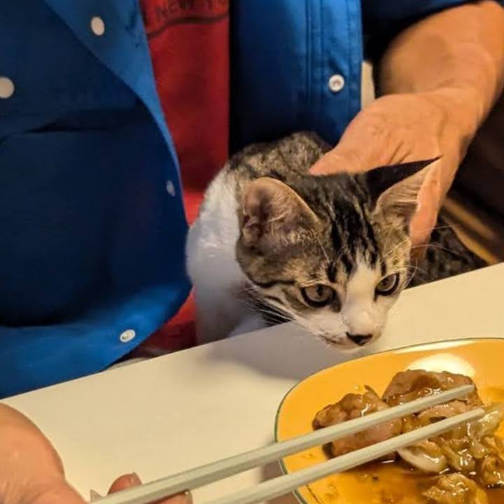 Db472ddc 34e8 43de a186 2795ae3b4c1e 1723108887302