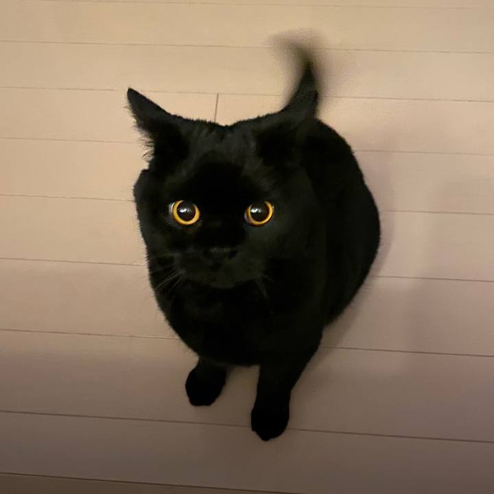 Db4752d0 1897 49c2 9ad2 f1073ab32474 1682081002134