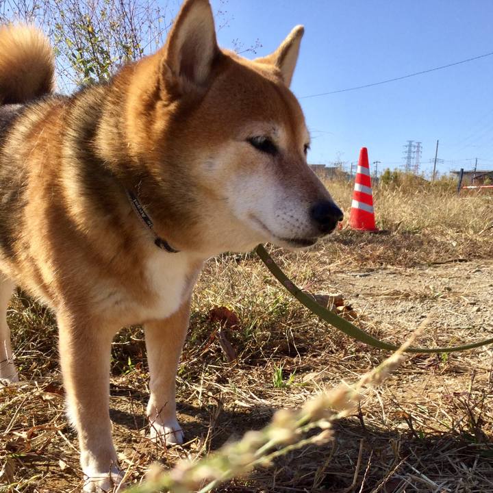 Db475335 ee24 4d45 8c8e a34b5d505f36 1606015399538