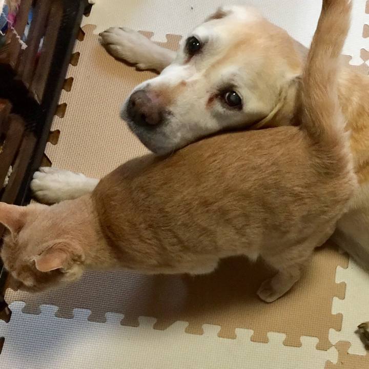 Db476814 a887 4097 9d27 a9829a6ebff6 1651582874978