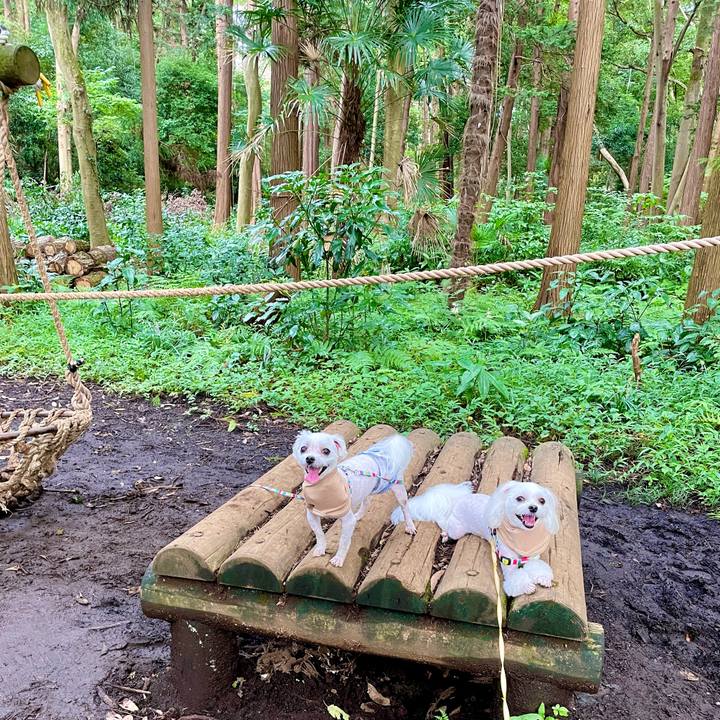 Db47688e 31ee 4f65 8ed5 5ddcd2cd895e 1629610585504