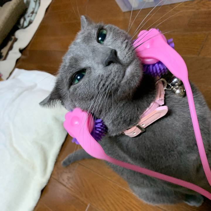 Db4774d4 1220 4683 8252 3d534bf58ec5 1568296273689