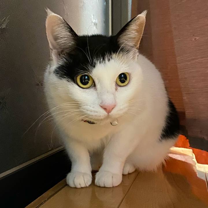 Db47d0ad 91d0 4a1d 9305 ba3d8751f6f8 1678450691657